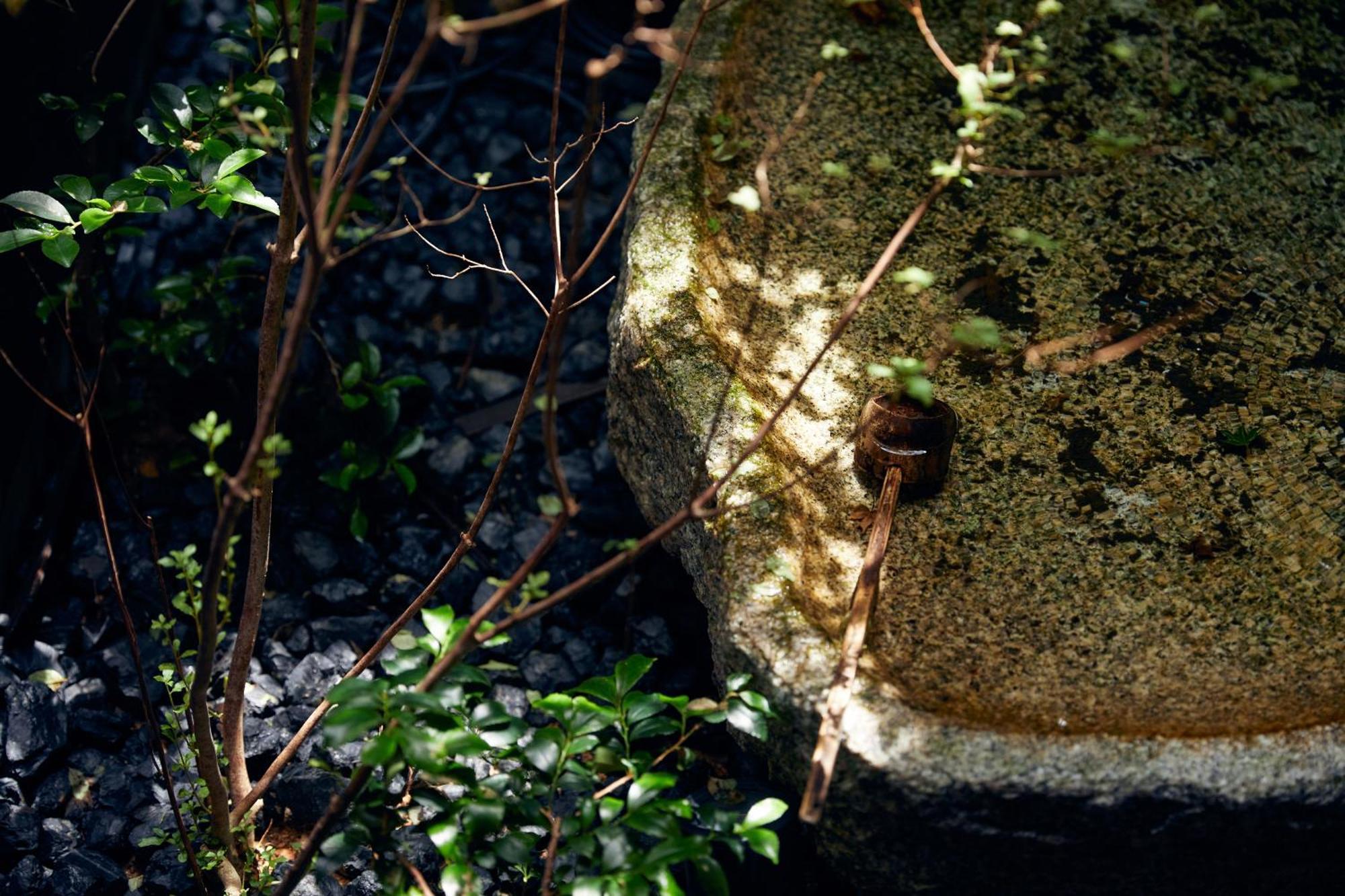 YADORU KYOTO HANARE Mizunoe No Yado Eksteriør billede